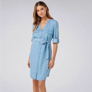 Evernew denim shirt dress
